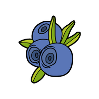 Bilberry