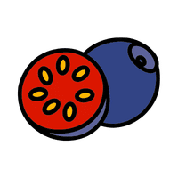 Bilberry