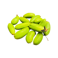Bilimbi