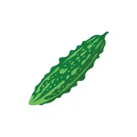 Bittergourd