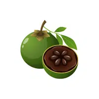 Black Sapote