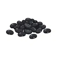 Black bean