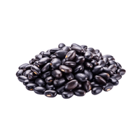Blackbean