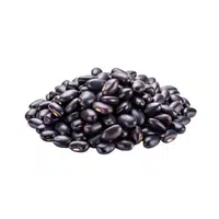 Blackbean