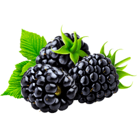 Blackberry