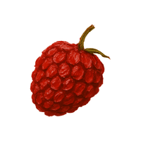 Raspberry