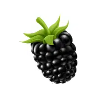 Blackberry
