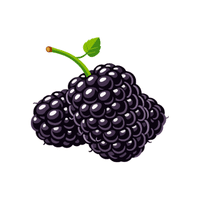 Blackberry