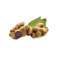 Blackginger