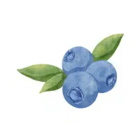 Blueberry