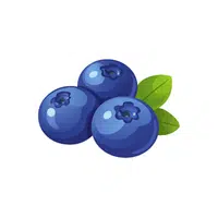 Blueberry