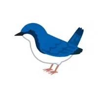 Bluebird