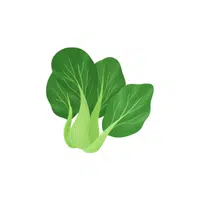 Bokchoy