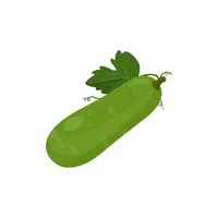 Bottlegourd
