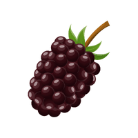 Boysenberry