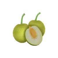 Breadfruit