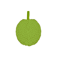 Breadfruit