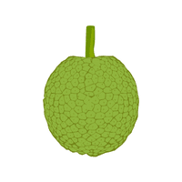 Breadfruit