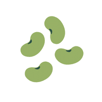 Broadbean