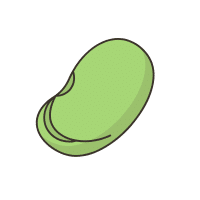 Broadbean
