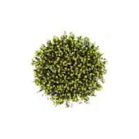 Broom