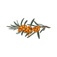 Buckthorn