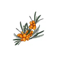 Buckthorn