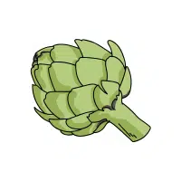 C. Artichoke