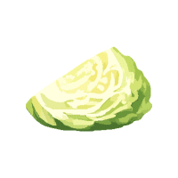 Cabbage