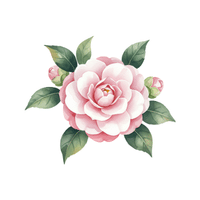 Camellia
