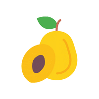 Canistel