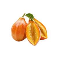 Canistel