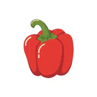 Capsicum