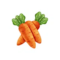 Carrot