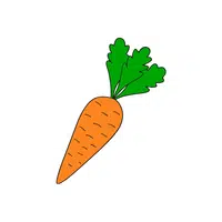 Carrot leaf