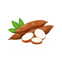Cassava