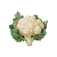 Cauliflower
