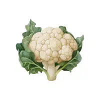 Cauliflower