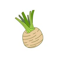 Celeriac