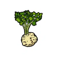 Celeriac