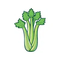Celery