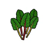 Chard