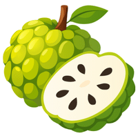 Cherimoya