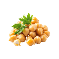 Chickpea