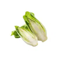 Chicory