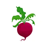 Chioggiabeet