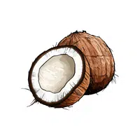 Coconut