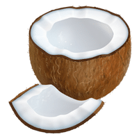 Coconut