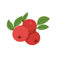 Coralberry