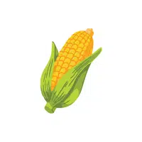 Corn